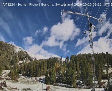 Scuol › Norden: Bos-cha