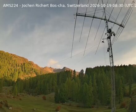 Scuol › Norden: Bos-cha