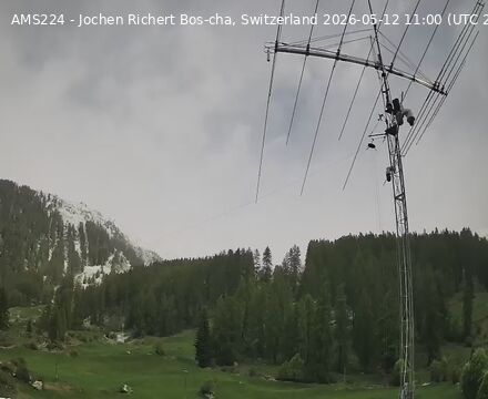 Scuol › Norden: Bos-cha