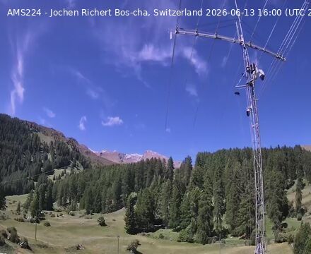 Scuol › Norden: Bos-cha