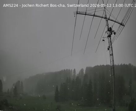 Scuol › Norden: Bos-cha