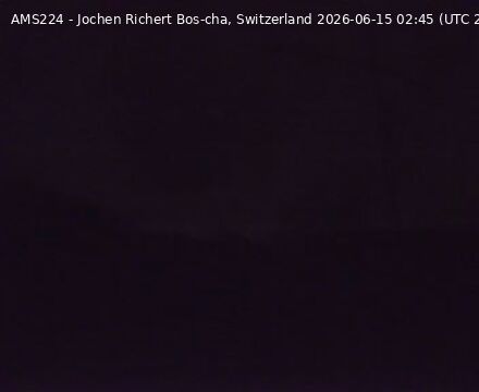 Scuol › Norden: Bos-cha