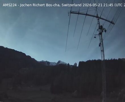Scuol › Norden: Bos-cha