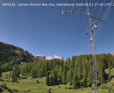 Scuol › Norden: Bos-cha
