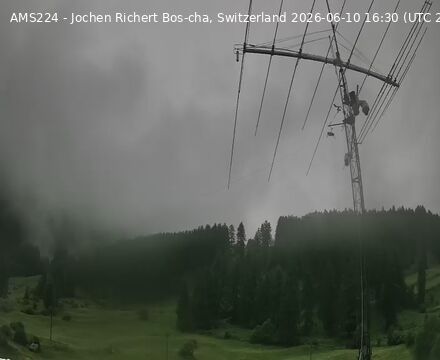 Scuol › Norden: Bos-cha