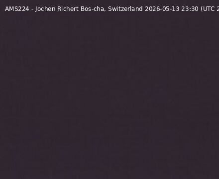 Scuol › Norden: Bos-cha