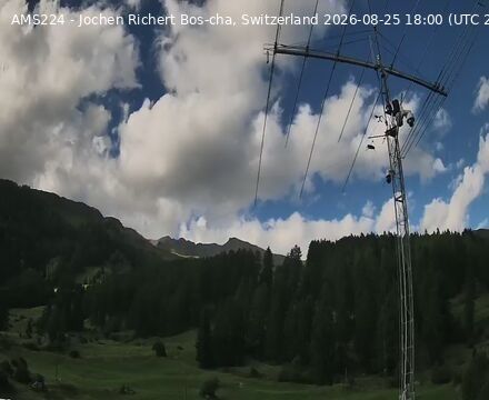 Scuol › Norden: Bos-cha