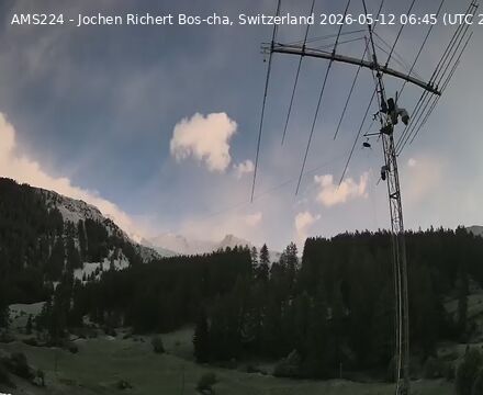 Scuol › Norden: Bos-cha