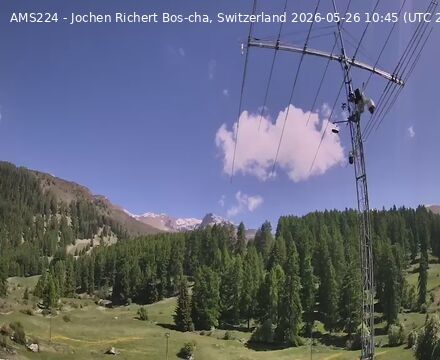 Scuol › Norden: Bos-cha