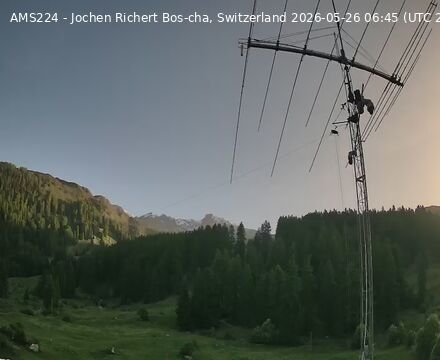 Scuol › Norden: Bos-cha