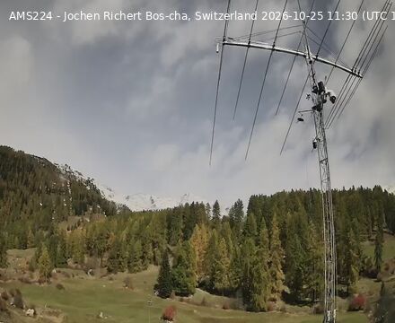 Scuol › Norden: Bos-cha