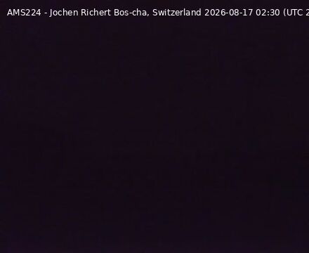Scuol › Norden: Bos-cha