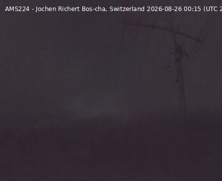 Scuol › Norden: Bos-cha