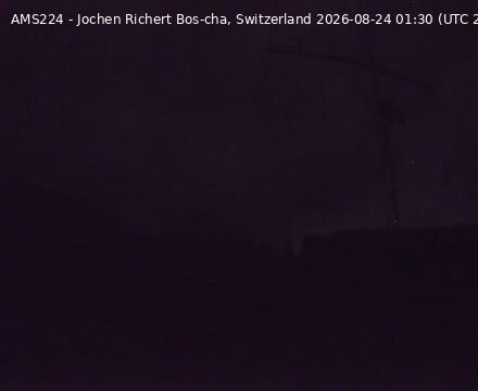 Scuol › Norden: Bos-cha