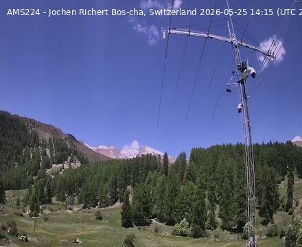 Scuol › Norden: Bos-cha