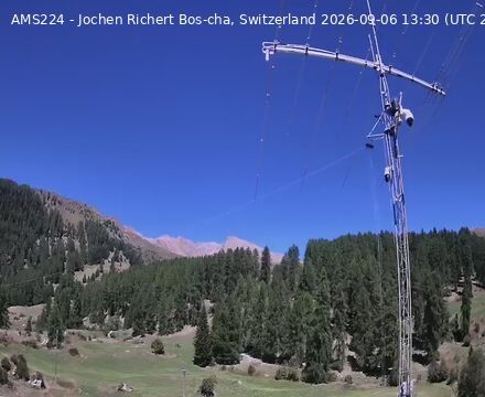 Scuol › Norden: Bos-cha