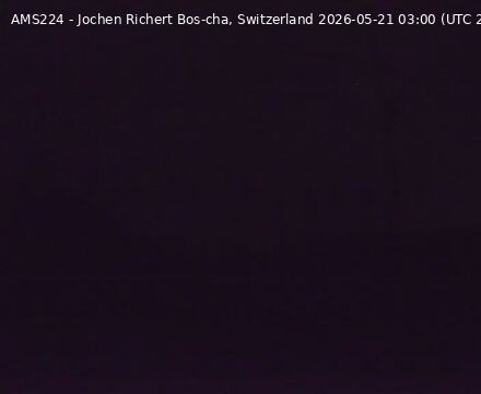 Scuol › Norden: Bos-cha