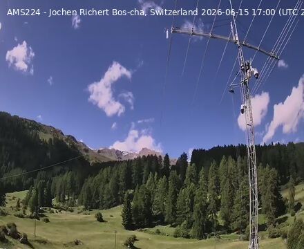 Scuol › Norden: Bos-cha