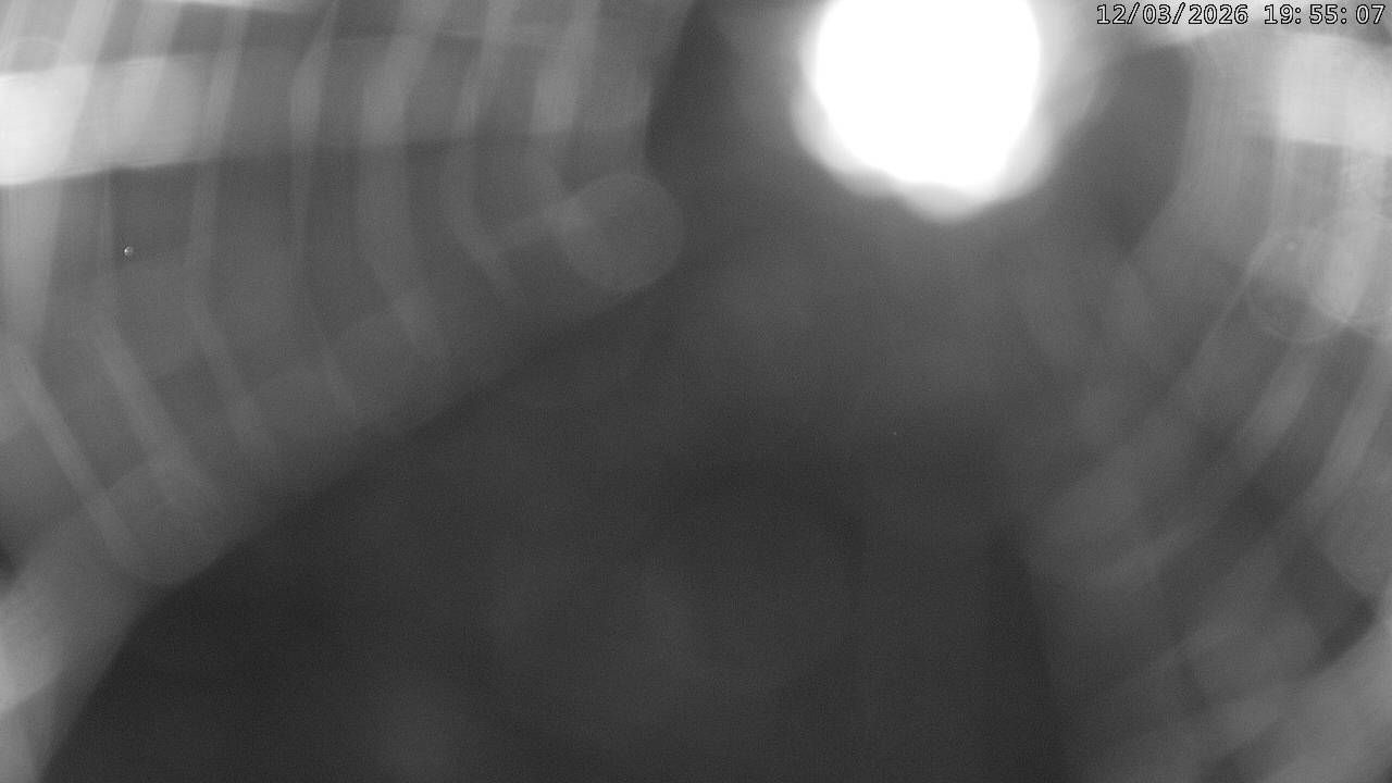 Wald › Osten: Panoramaloipe Gibswil