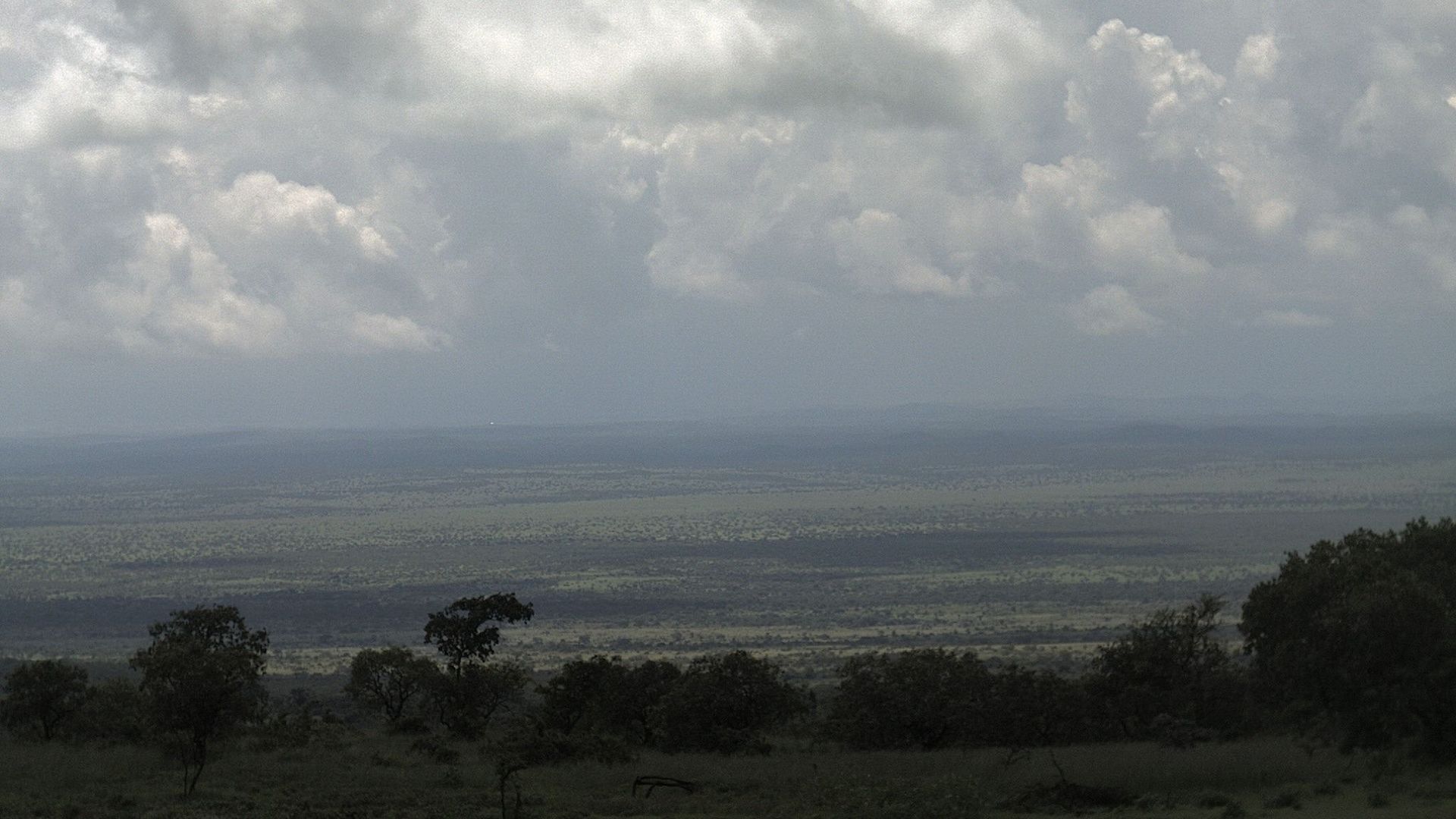 Tsavo Ekas Portal