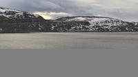 Rypefjord: Hammerfest