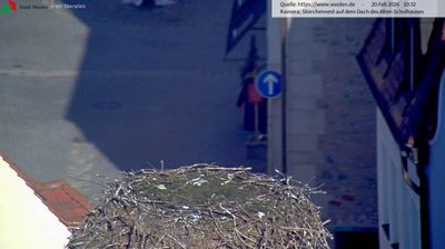 Weiden Daglicht Webcam Image