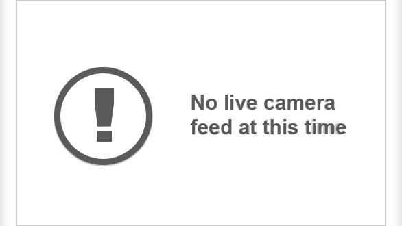 Traffic Cam Shady Grove: CCTV-I-.-WB