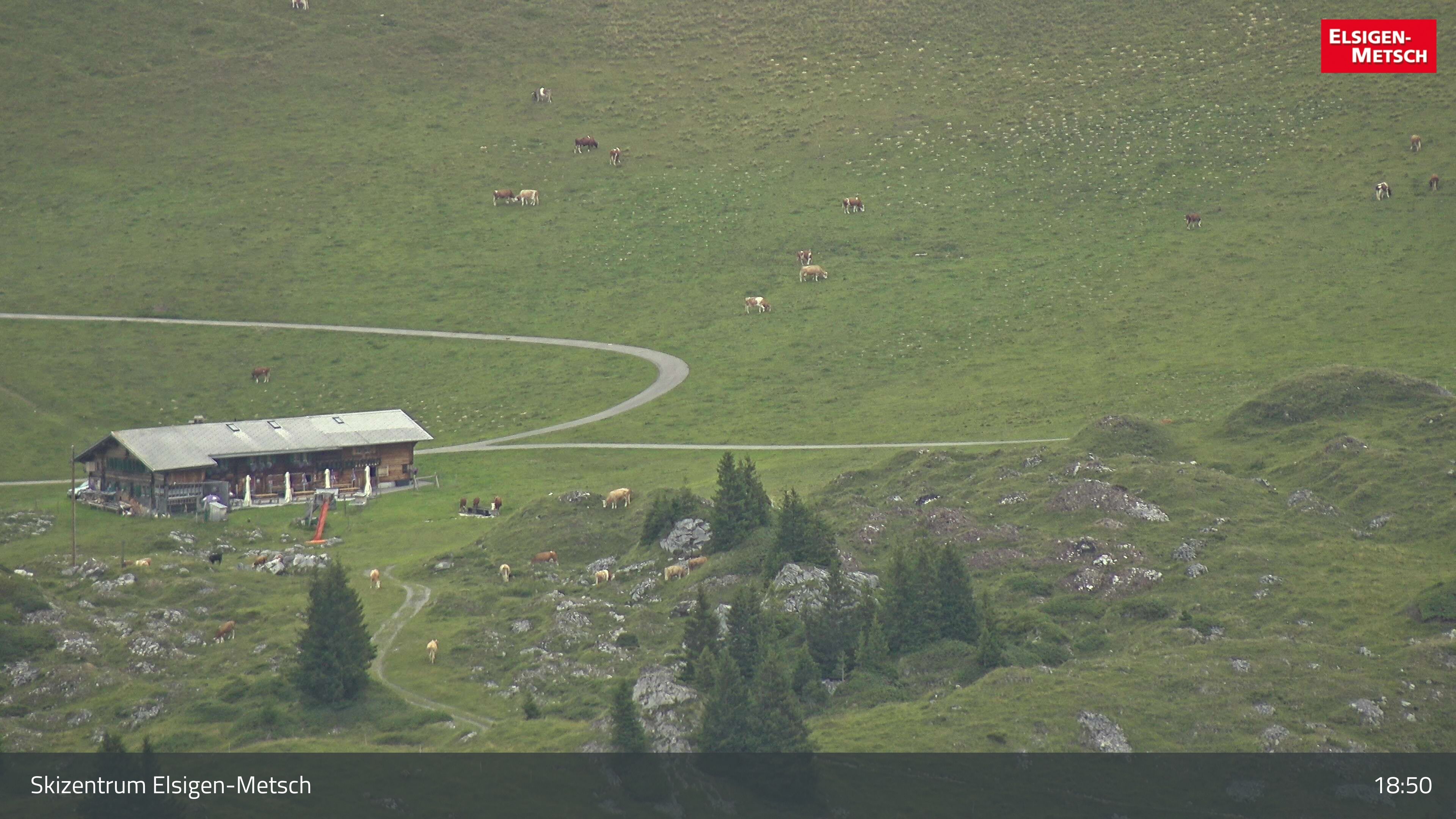 Frutigen: Achseten - Bergstation Skilift Höchst-Metsch, Elsighütte