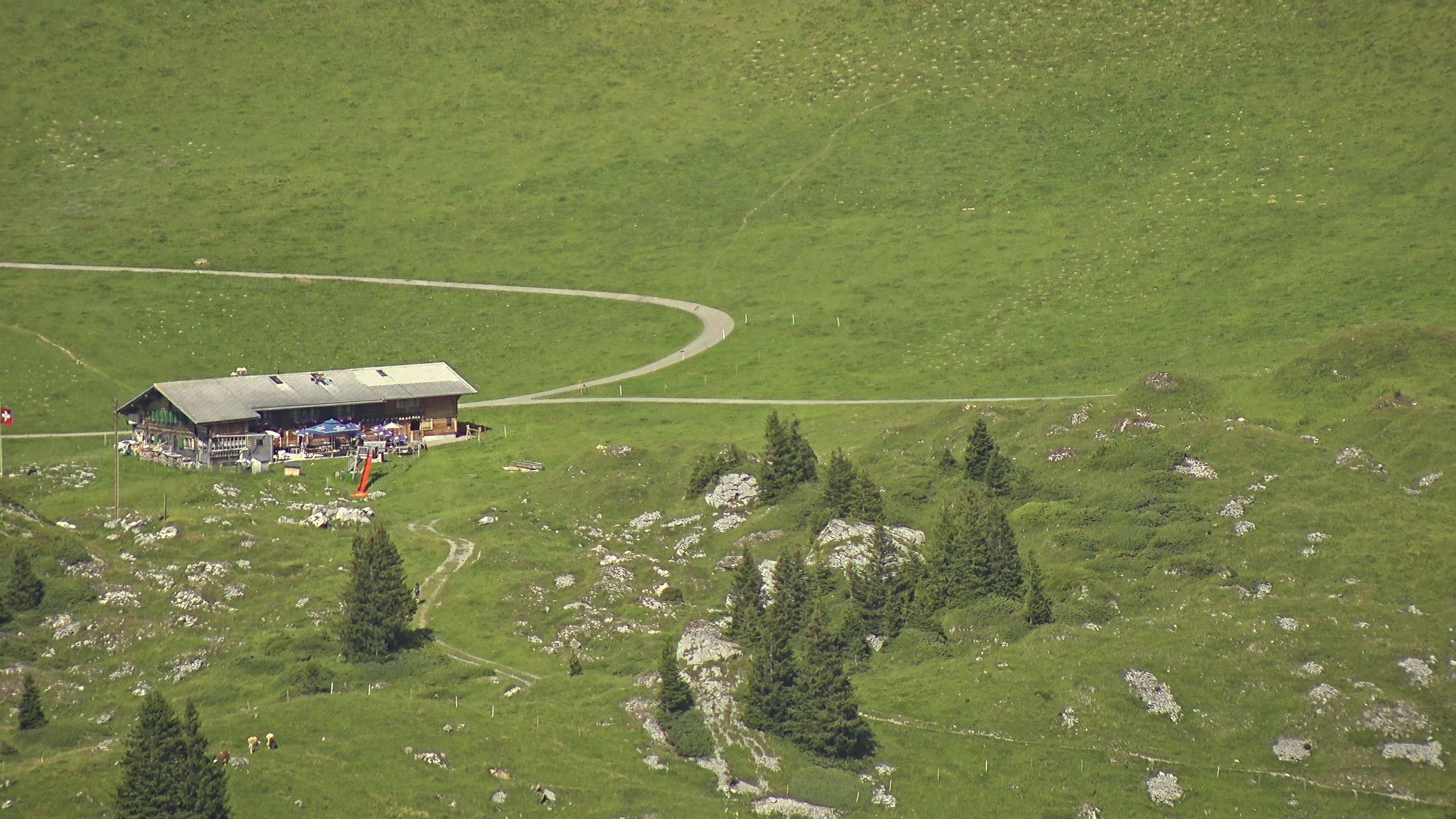 Frutigen: Achseten - Bergstation Skilift Höchst-Metsch, Elsihütte