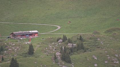 Frutigen: Achseten - Bergstation Skilift Höchst-Metsch, Elsihütte