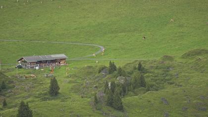 Frutigen: Achseten - Bergstation Skilift Höchst-Metsch, Elsihütte