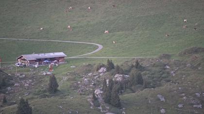 Frutigen: Achseten - Bergstation Skilift Höchst-Metsch, Elsihütte