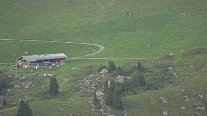 Frutigen: Achseten - Bergstation Skilift Höchst-Metsch, Elsihütte