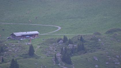 Frutigen: Achseten - Bergstation Skilift Höchst-Metsch, Elsihütte