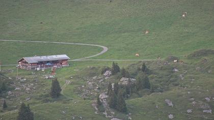 Frutigen: Achseten - Bergstation Skilift Höchst-Metsch, Elsihütte