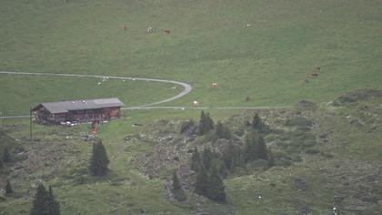 Frutigen: Achseten - Bergstation Skilift Höchst-Metsch, Elsihütte