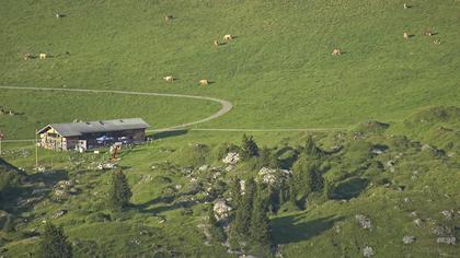 Frutigen: Achseten - Bergstation Skilift Höchst-Metsch, Elsihütte