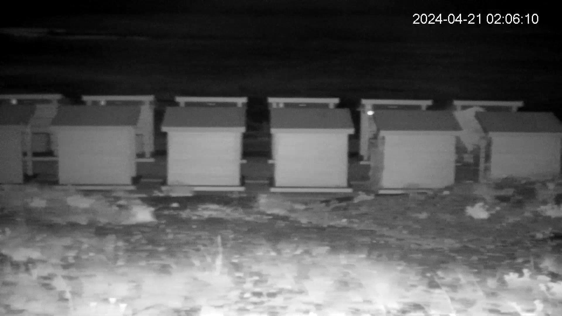 Traffic Cam Yesilova
