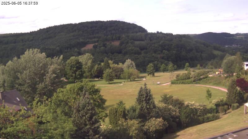 Aue forest Webcam