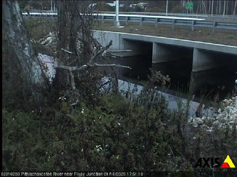 Traffic Cam Bayonet Point