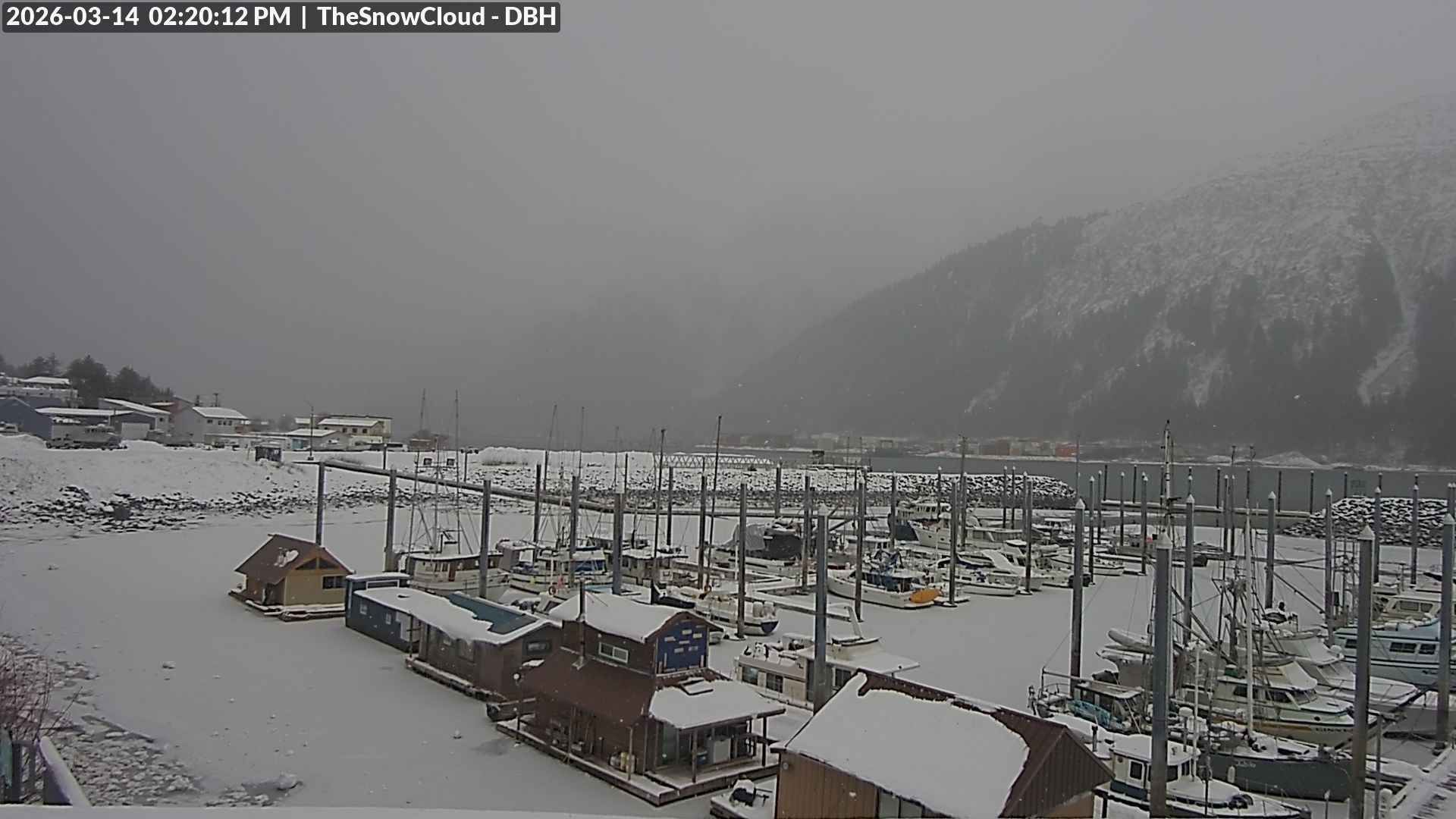 Juneau Alaska Weather Cam Live Weather Updates in the Heart of Alaska