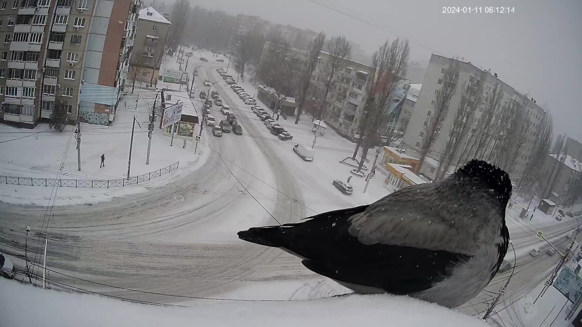 Traffic Cam Saratov › North