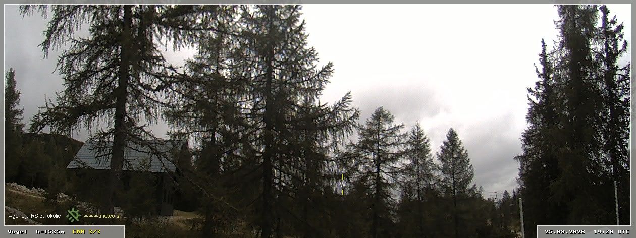 Traffic Cam Bohinj › West
