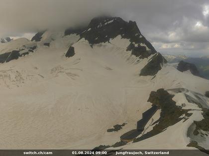 Fieschertal: Jungfrau - Wengen - Interlaken