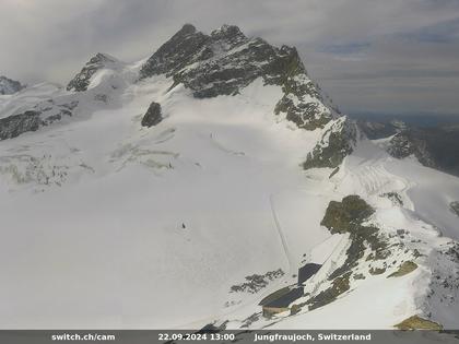 Fieschertal: Jungfrau - Wengen - Interlaken