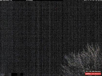 Altdorf: Live Wetter (Gitschenblick)