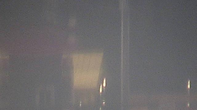 Pigeon Live Traffic Camera