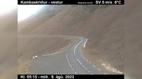 Vik: Fjarðarheiði