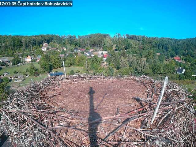 Traffic Cam Trutnov › East: Bohuslavice nad Úpou - Královéhradecký, Česko: Čapí hnízdo
