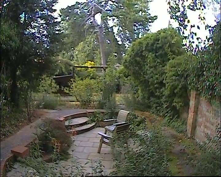 Slough during daytime
